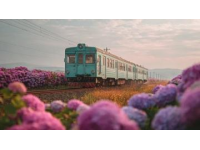 新增绍兴至洛阳列车：周末游赏水景与牡丹的新选择