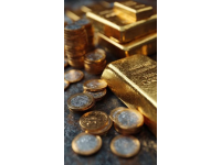 女子下车接电话不小心将900克黄金遗落在动车上，这批黄金价值大约135万元