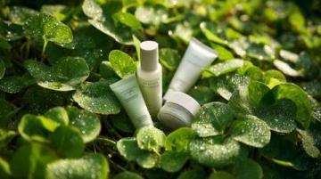 超值绿皮火车之旅：慢下来，品味生活与情感的真谛