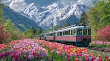 穿花海、登雄关，开往春天的列车驶入最美花季