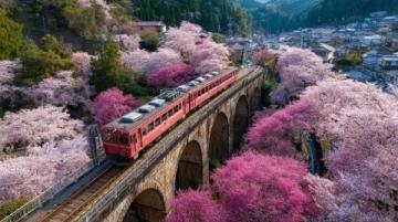 穿花海、登雄关，开往春天的列车驶入最美花季