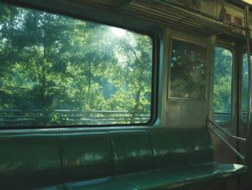 前几日回了趟老家，又搭乘了一回久违的绿皮火车，这让我颇多感慨,在这旅游淡季