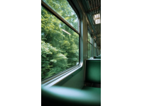 前几日回了趟老家，又搭乘了一回久违的绿皮火车，这让我颇多感慨,在这旅游淡季