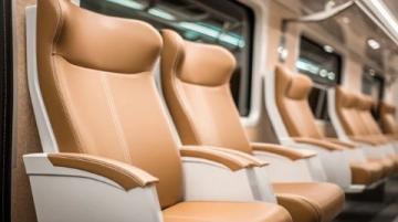 高铁车厢蚊虫泛滥乘客坐立难安引发热议