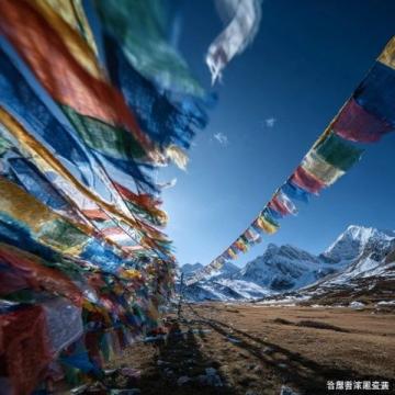 从上海硬座直达拉萨需要多少钱？详尽费用与必备物品清单