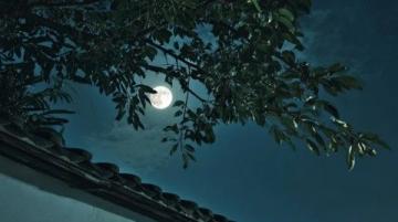 小镇的月光与火车声：杨超越的夏日季节交替。