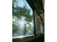 绿皮火车之旅：一次经济又充满诗意的风景探险