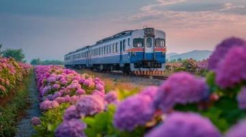 K50列车带你领略江南春日全景:从南京到杭州的诗意之旅