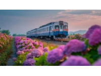 K50列车带你领略江南春日全景：从南京到杭州的诗意之旅