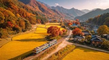 京张高铁和北京S2线哪个风景好一句话总结春日赏花选S2线,长途全域观景、多