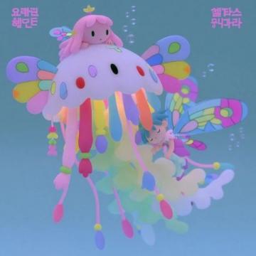 错过风铃花的遗憾,意外邂逅开远小火车的魅力时光