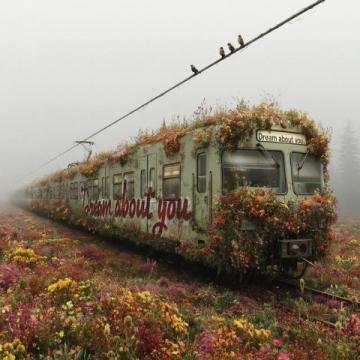 列车穿花超梦幻-列车 花