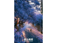 雪国列车迎春行：冰雪主题布置及暖心服务打造温馨春运之旅