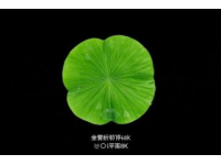 开封到洛阳高铁列车时刻表查询，直达与中转方案，票价及旅游出行实用指南
