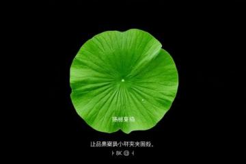 山东高铁环形列车开行安排：鲁南高铁开通后，每日 8 趟环线串联齐鲁旅游