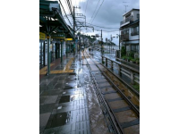 台风杨柳致海南铁路全线停运，进出岛列车暂停服务