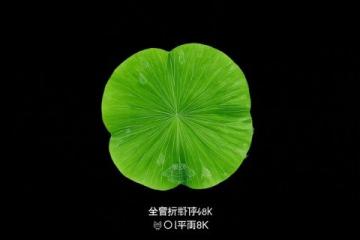 8月22日中午12:30，邵东杨桥高铁站现感人一幕：好心人拾得四名迷路儿童