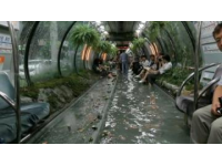 襄阳普速火车站：绿皮卧铺火车经济之旅，一觉可达武昌、鄂州等城市
