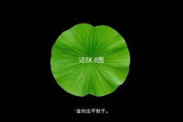 信阳至上海K752/K753次列车最新时刻表及全程概览