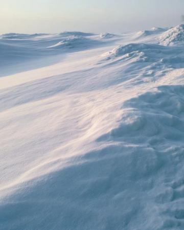 探索香格里拉：邂逅高原雪域的绝美冬日画卷与温馨体验