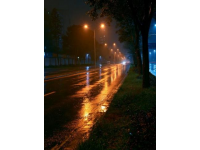 台风巴威致东北大范围强降雨，国铁沈阳局多条线路列车临时停运，请旅客关注