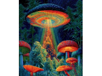 7月23日起，西安车站调整多列火车运营计划：新增及取消部分车次(附详情)
