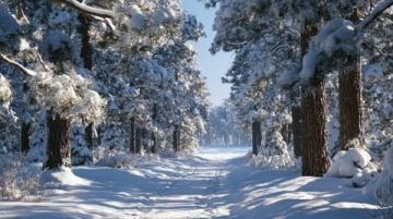 冬日网红打卡：秦岭小火车穿越冰雪奇境，西安周边赏雪滑雪热门线路